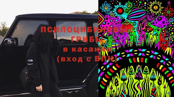 молекула духа Киреевск