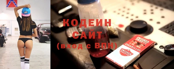 индика Корсаков