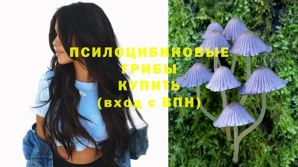 индика Корсаков