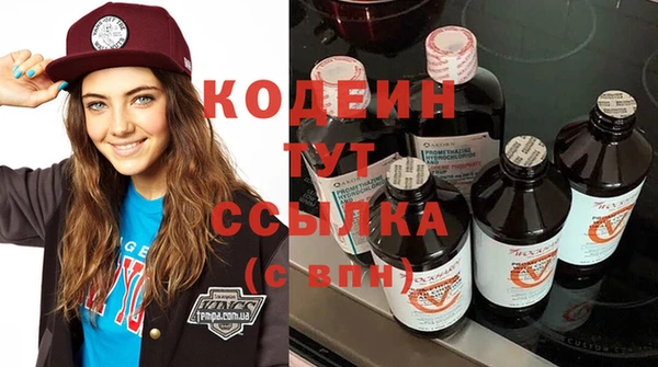 индика Корсаков