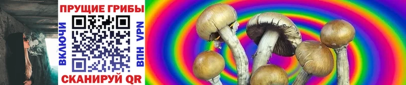 Псилоцибиновые грибы MAGIC MUSHROOMS  Купить закладки  Артёмовск 